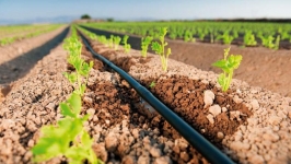 Produtores recebem Kits de Irrigação