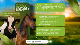Prefeitura alerta produtores rurais sobre vacinação de animais diante de suspeitas de raiva na região
