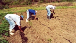 Em favor do Homem do Campo