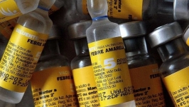 População receberá gratuitamente Vacina contra Febre Amarela