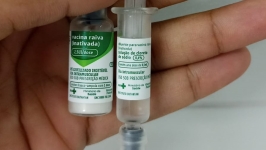 No próximo mês de junho a Campanha de Vacinação Antirrábica 2024 vai começar em Desterro do Melo